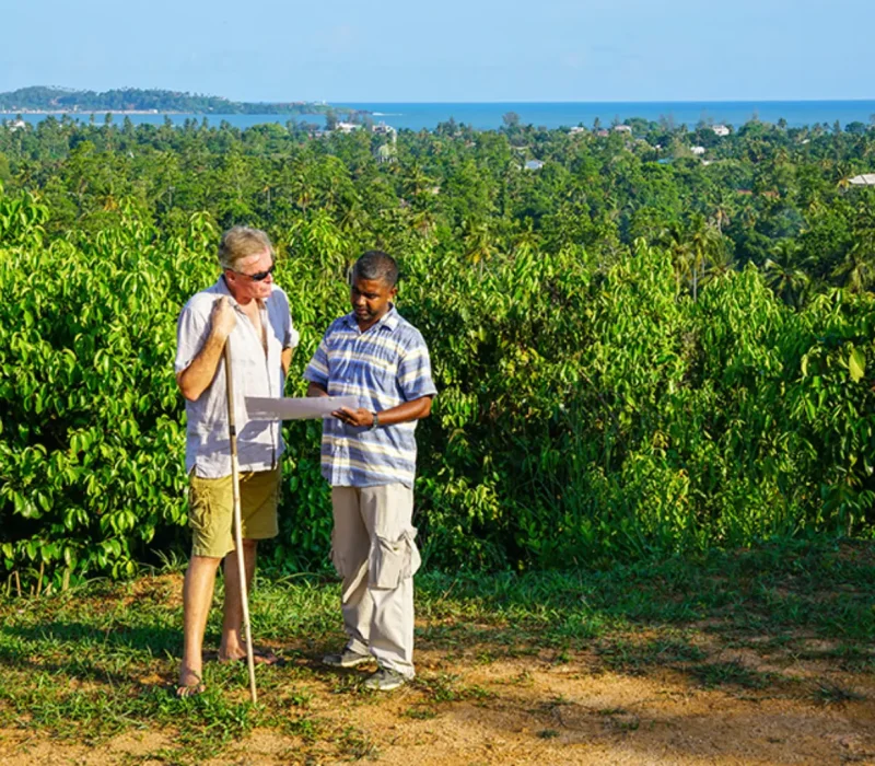 ceylon cinnamon 02 | Pepper Life | Travel agency in Colombo