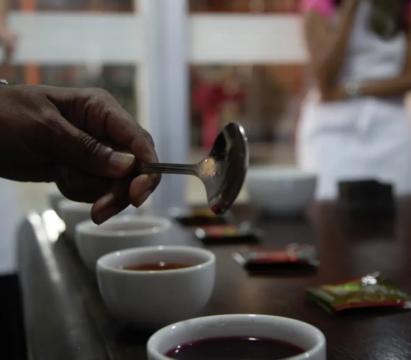 essence of tea 05 | Pepper Life | Travel agency in Colombo