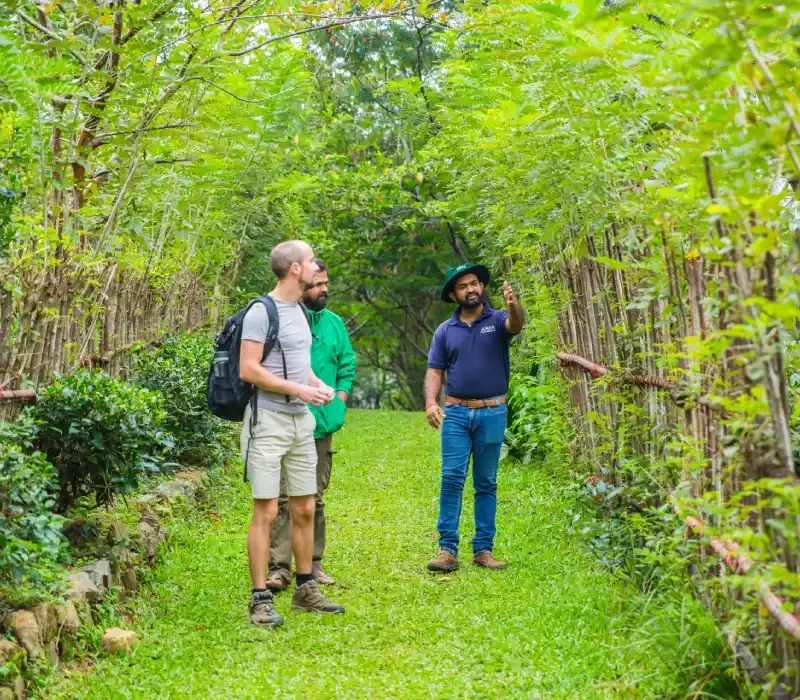 Estate Tour and Tea