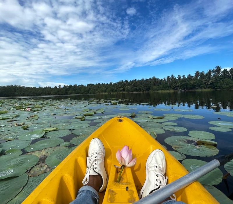 kayak