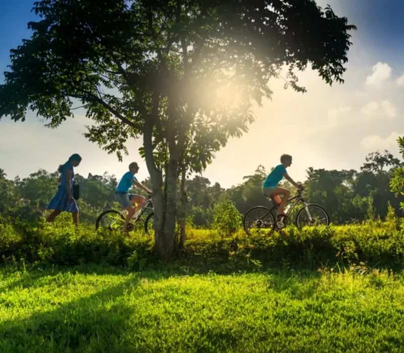 paddies-plantations-header-mobile