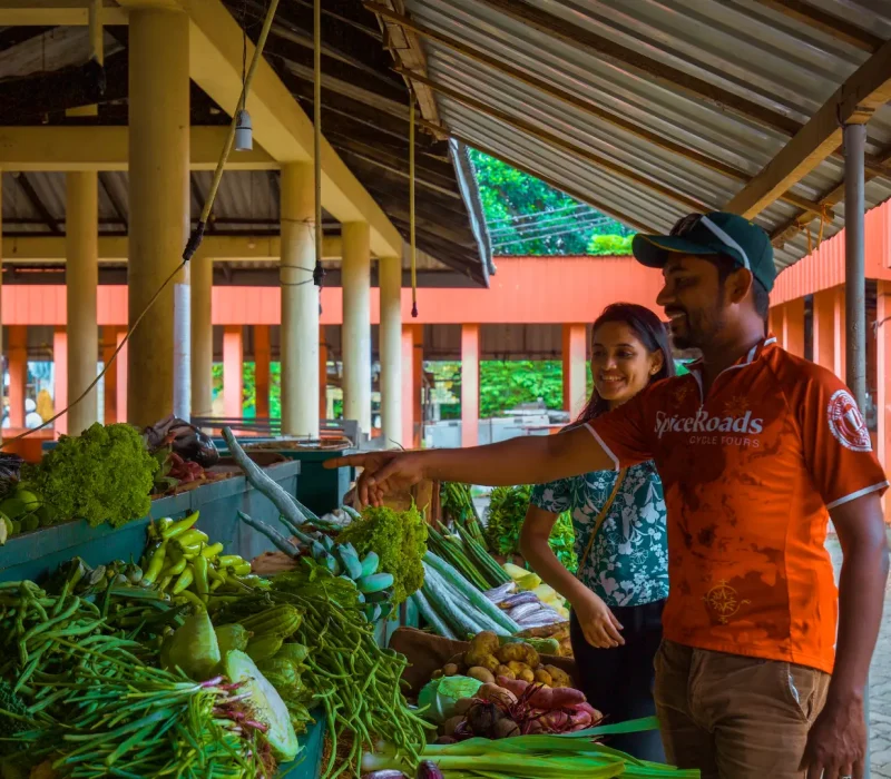 paddies-plantations-weligama-04