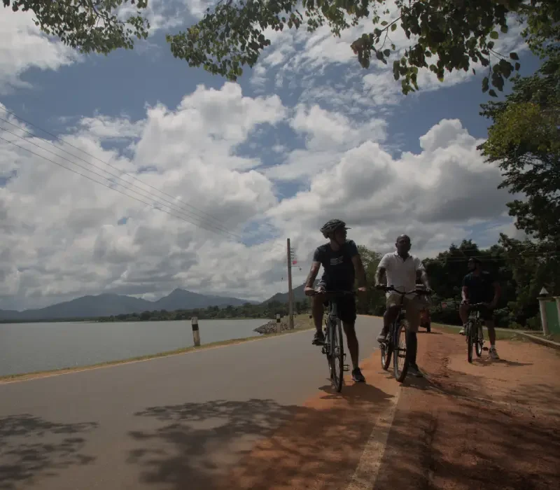 Rustic Village Of Sigiriya By Bicycle