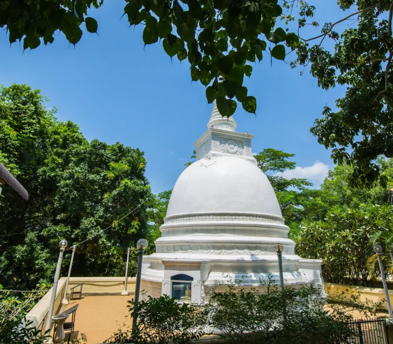 the-buddhist-nuns-02