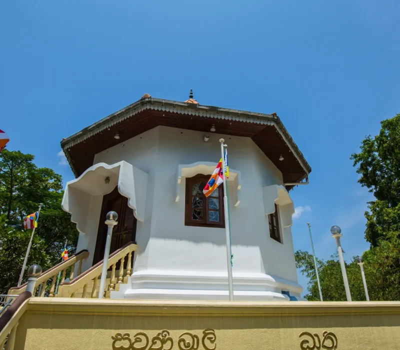 the-buddhist-nuns-06