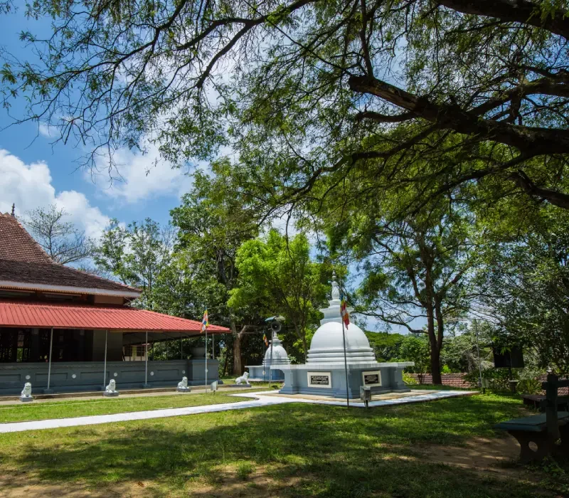 the-buddhist-nuns-header-mobile