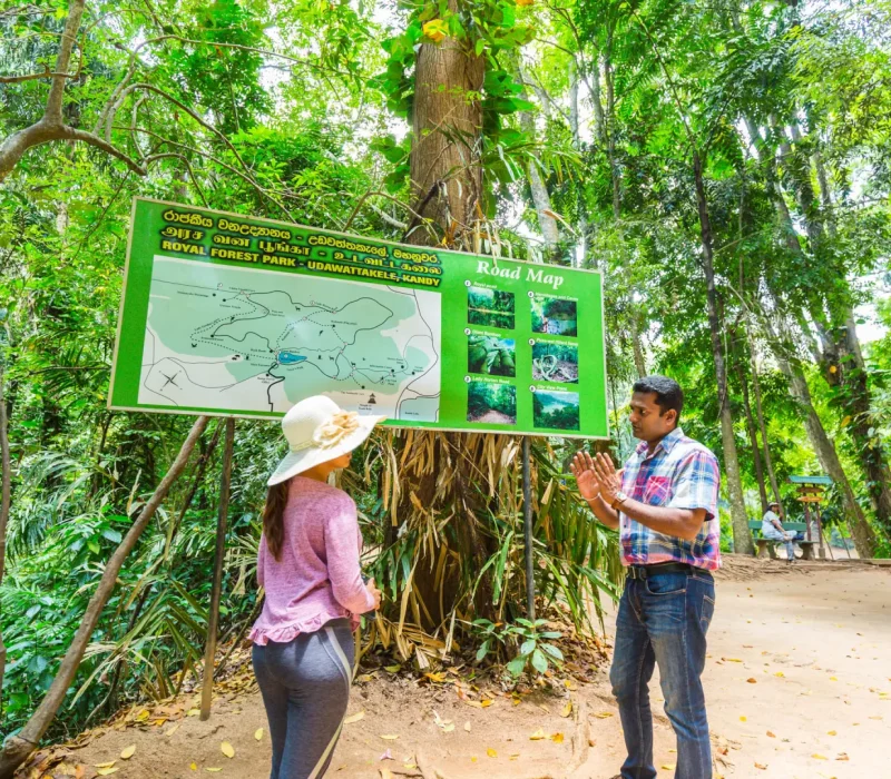 udawattakele-forest-walk-08