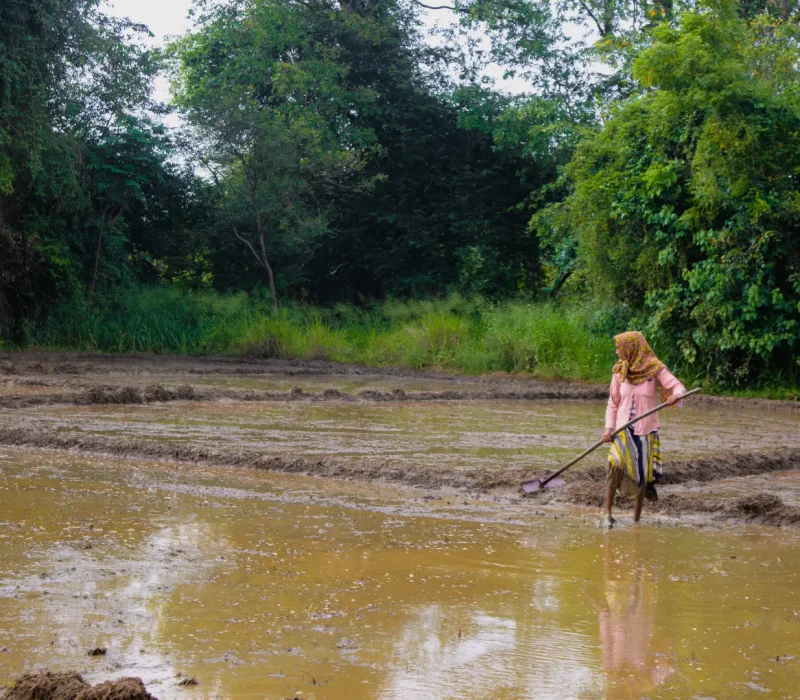 unseen-village-of-hiriwadunna-03